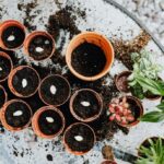 Jak zaplanować ogród od podstaw | Planowanie ogrodu | Alphabar.pl