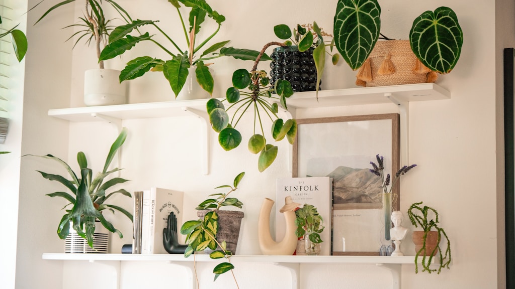 Drewniana półka z zielonymi roślinami doniczkowymi jako element wystroju wnętrza w duchu slow life